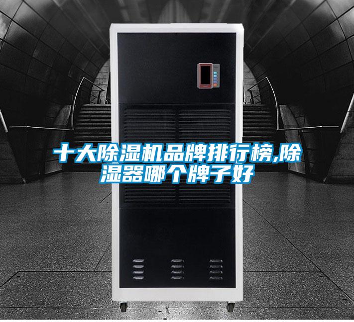 十大草莓视频APP在线观看品牌排行榜,除湿器哪个牌子好