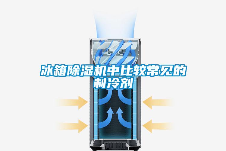 冰箱草莓视频APP在线观看中比较常见的制冷剂