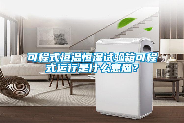 可程式恒温恒湿试验箱可程式运行是什么意思？