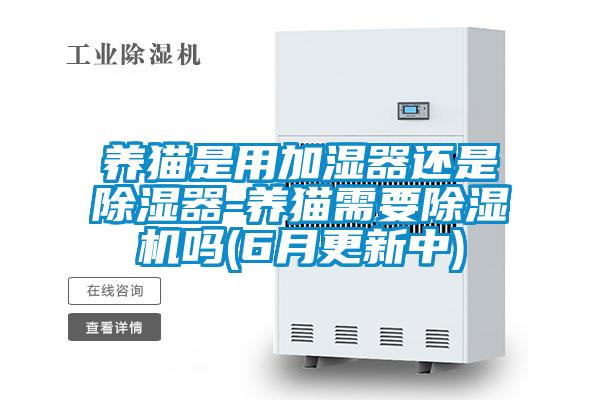 养猫是用加湿器还是除湿器-养猫需要草莓视频APP在线观看吗(6月更新中)