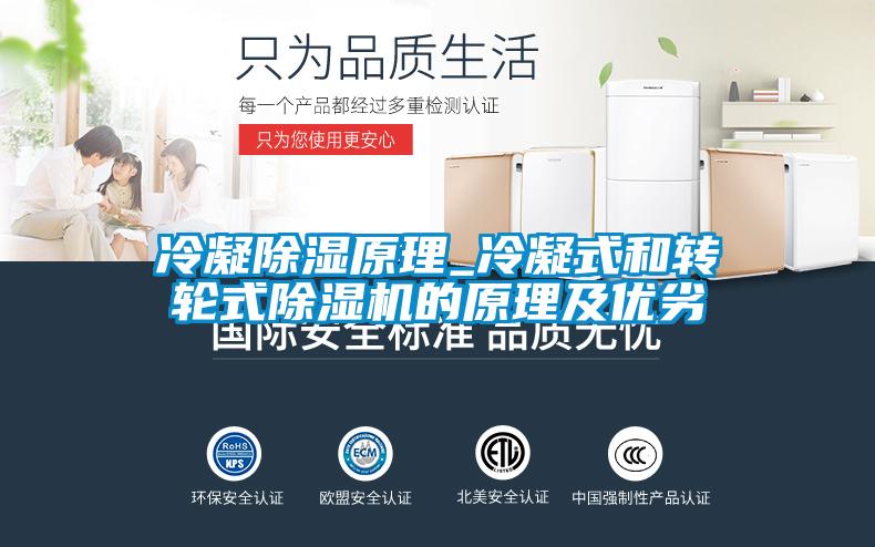 冷凝除湿原理_冷凝式和转轮式草莓视频APP在线观看的原理及优劣