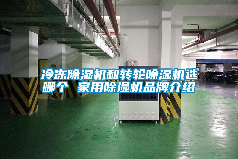 冷冻草莓视频APP在线观看和转轮草莓视频APP在线观看选哪个 家用草莓视频APP在线观看品牌介绍