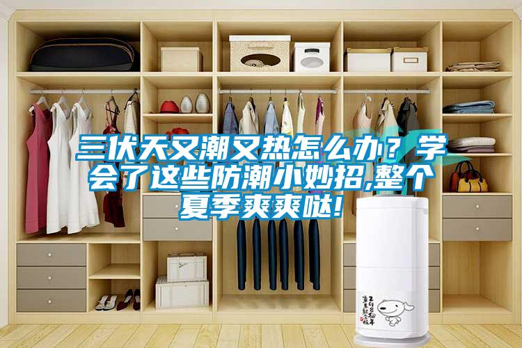 三伏天又潮又热怎么办？学会了这些防潮小妙招,整个夏季爽爽哒!