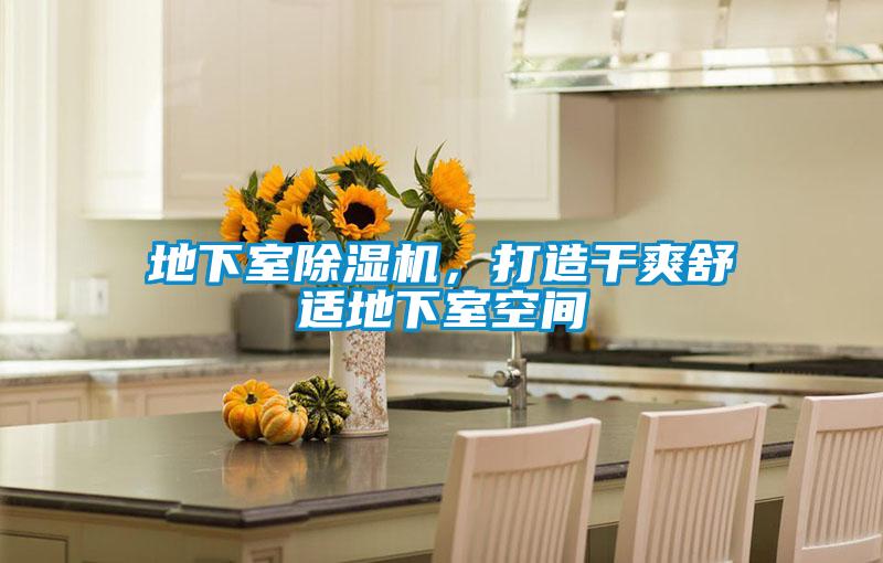 地下室草莓视频APP在线观看，打造干爽舒适地下室空间