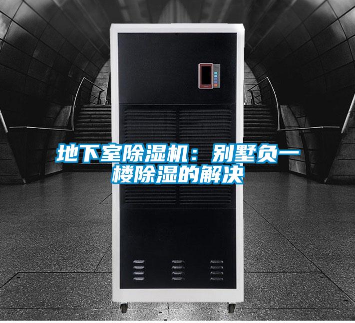 地下室草莓视频APP在线观看：别墅负一楼除湿的解决