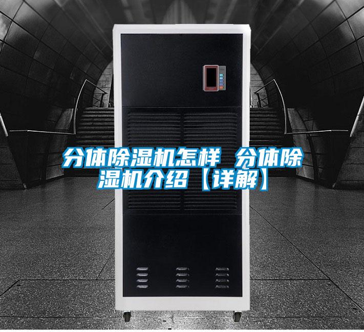分体草莓视频APP在线观看怎样 分体草莓视频APP在线观看介绍【详解】