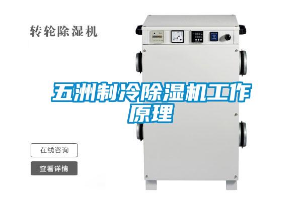 五洲制冷草莓视频APP在线观看工作原理