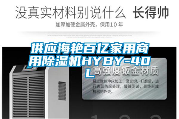 供应海艳百亿家用商用草莓视频APP在线观看HYBY-40L