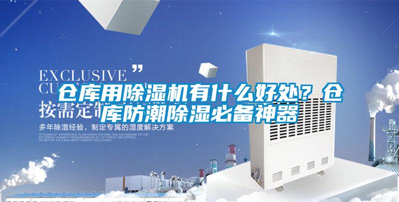 仓库用草莓视频APP在线观看有什么好处？仓库防潮除湿必备神器
