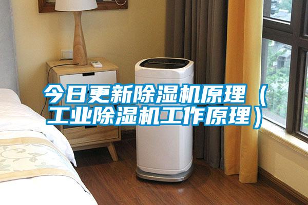 今日更新草莓视频APP在线观看原理（工业草莓视频APP在线观看工作原理）