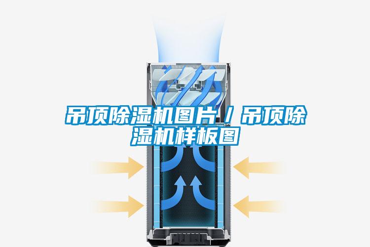 吊顶草莓视频APP在线观看图片／吊顶草莓视频APP在线观看样板图