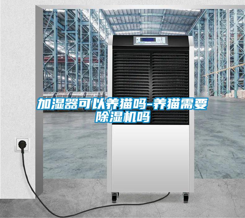 加湿器可以养猫吗-养猫需要草莓视频APP在线观看吗