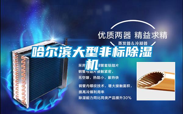 哈尔滨大型非标草莓视频APP在线观看