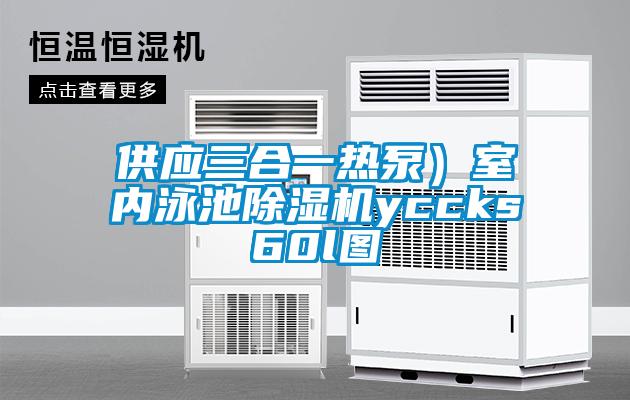 供应三合一热泵）室内泳池草莓视频APP在线观看yccks60l图