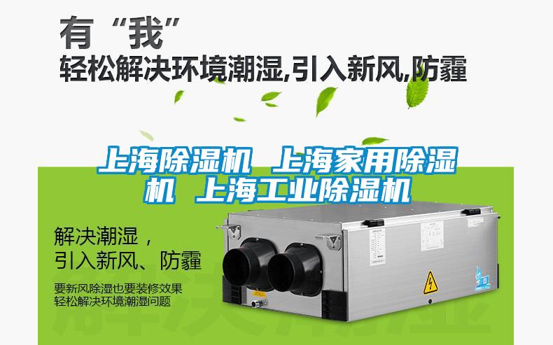 上海草莓视频APP在线观看 上海家用草莓视频APP在线观看 上海工业草莓视频APP在线观看