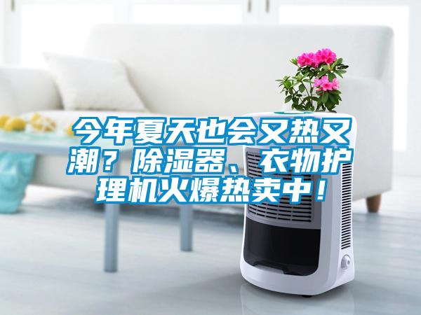 今年夏天也会又热又潮？除湿器、衣物护理机火爆热卖中！