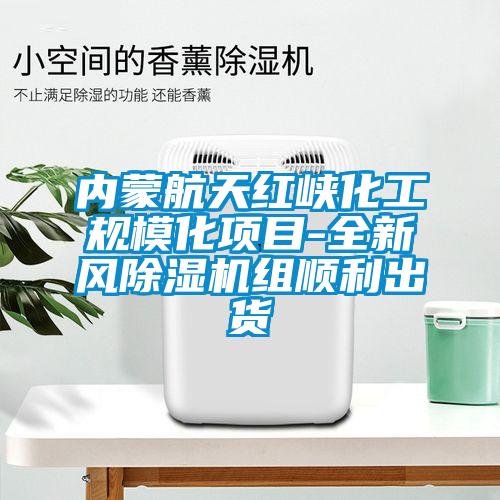 内蒙航天红峡化工规模化项目-全新风草莓视频APP在线观看组顺利出货