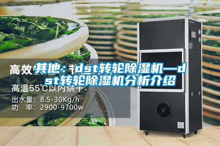 其他：dst转轮草莓视频APP在线观看—dst转轮草莓视频APP在线观看分析介绍
