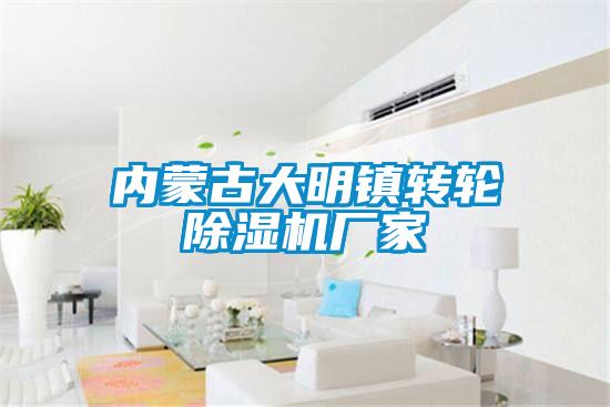 内蒙古大明镇转轮草莓视频APP在线观看厂家