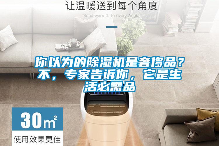 你以为的草莓视频APP在线观看是奢侈品？不，专家告诉你，它是生活必需品