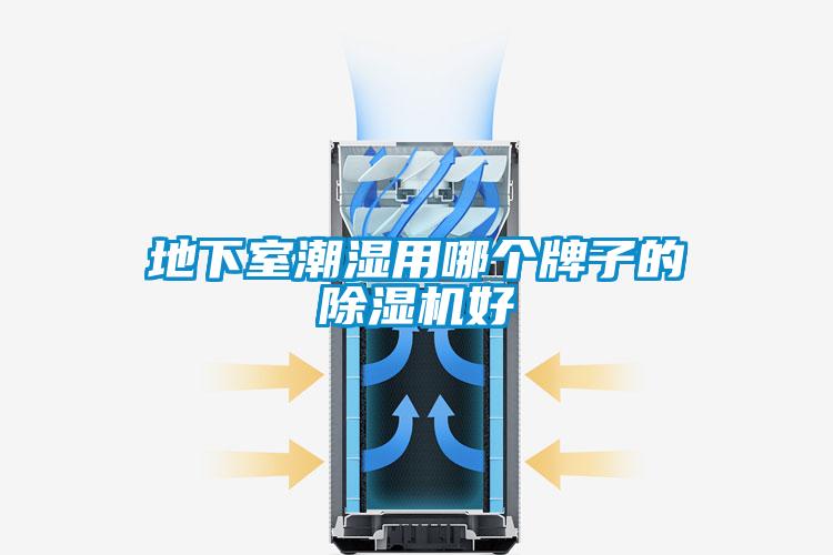 地下室潮湿用哪个牌子的草莓视频APP在线观看好