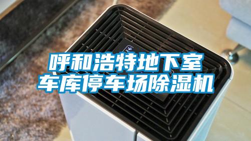 呼和浩特地下室车库停车场草莓视频APP在线观看