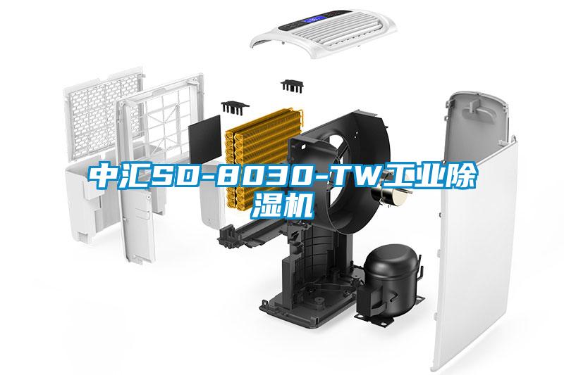 中汇SD-8030-TW工业草莓视频APP在线观看