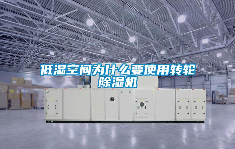 低湿空间为什么要使用转轮草莓视频APP在线观看