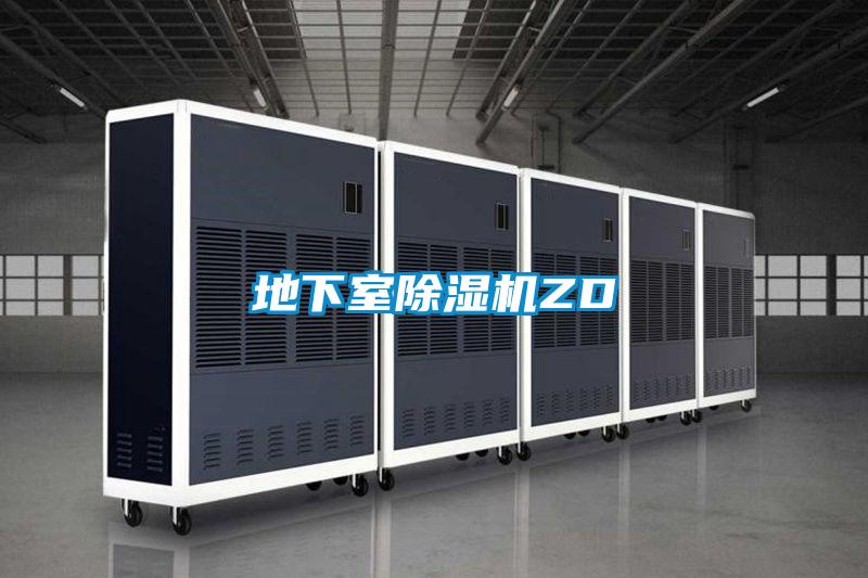 地下室草莓视频APP在线观看ZD