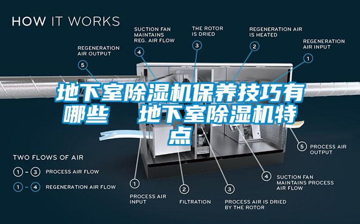 地下室草莓视频APP在线观看保养技巧有哪些  地下室草莓视频APP在线观看特点