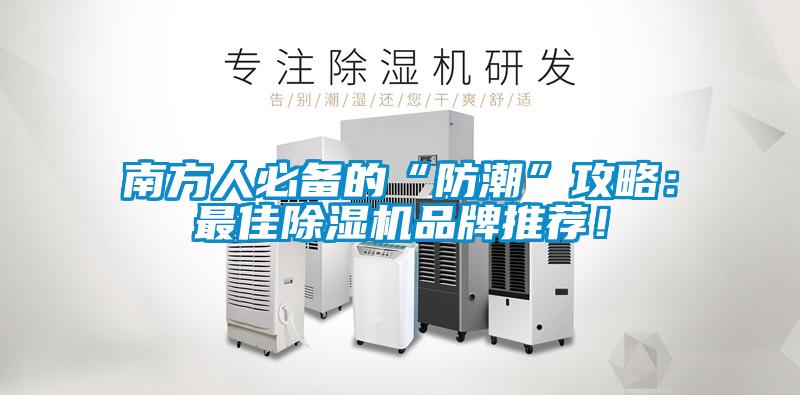 南方人必备的“防潮”攻略：最佳草莓视频APP在线观看品牌推荐！