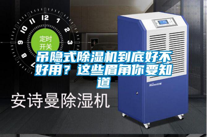 吊隐式草莓视频APP在线观看到底好不好用？这些眉角你要知道