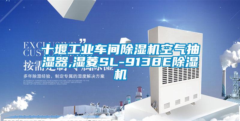十堰工业车间草莓视频APP在线观看空气抽湿器,湿菱SL-9138E草莓视频APP在线观看