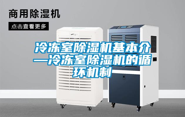 冷冻室草莓视频APP在线观看基本介—冷冻室草莓视频APP在线观看的循环机制