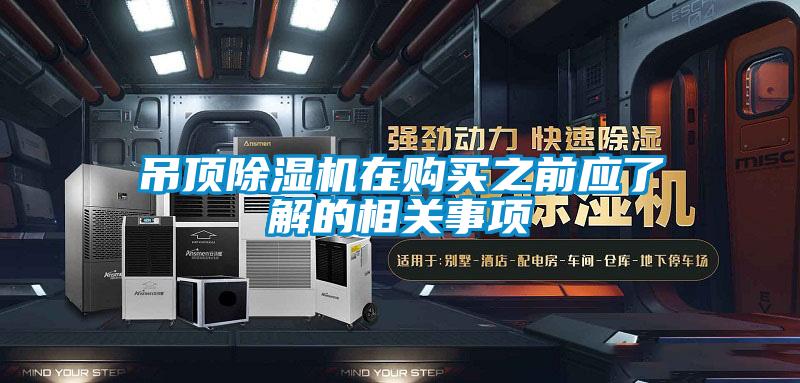 吊顶草莓视频APP在线观看在购买之前应了解的相关事项