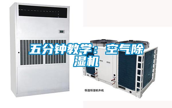 五分钟教学：空气草莓视频APP在线观看