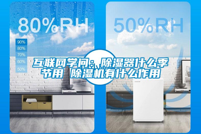 互联网学问：除湿器什么季节用 草莓视频APP在线观看有什么作用
