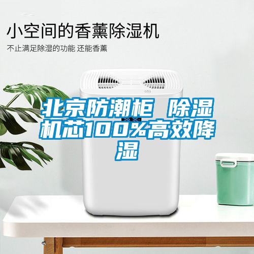 北京防潮柜 草莓视频APP在线观看芯100%高效降湿