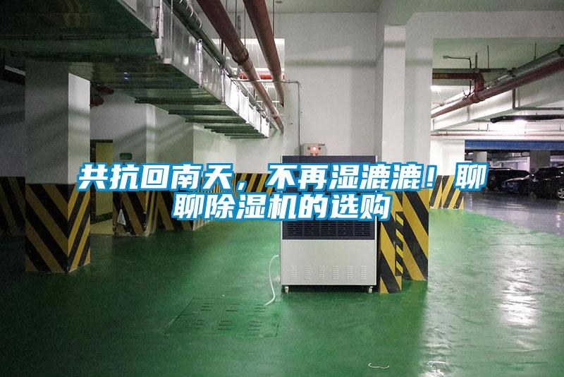 共抗回南天，不再湿漉漉！聊聊草莓视频APP在线观看的选购