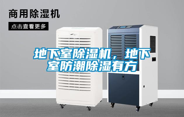 地下室草莓视频APP在线观看，地下室防潮除湿有方