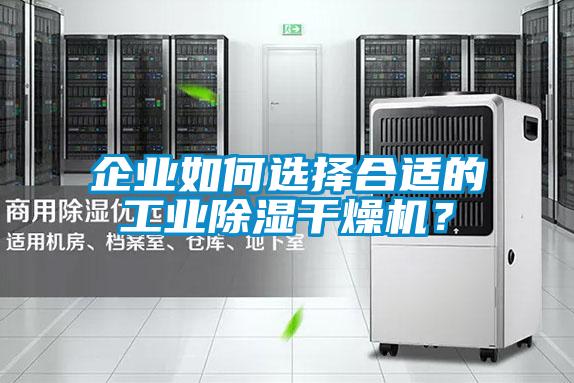 企业如何选择合适的工业除湿干燥机？