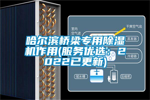 哈尔滨桥梁专用草莓视频APP在线观看作用(服务优选：2022已更新)