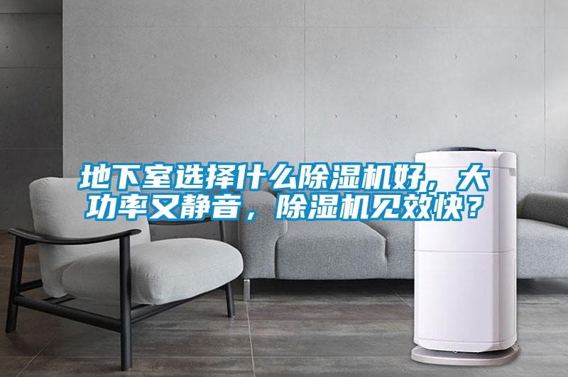 地下室选择什么草莓视频APP在线观看好，大功率又静音，草莓视频APP在线观看见效快？