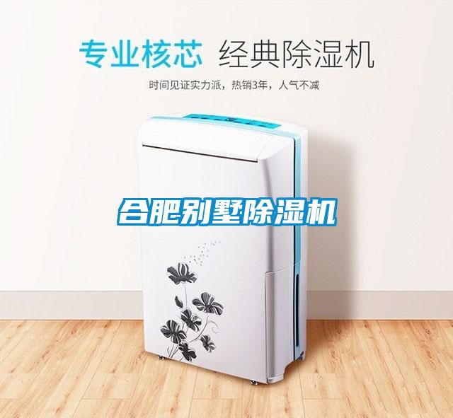 合肥别墅草莓视频APP在线观看
