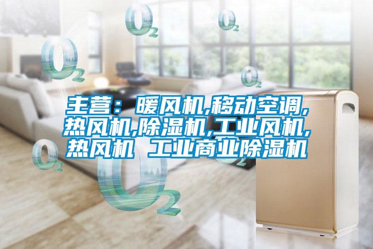 主营：暖风机,移动空调,热风机,草莓视频APP在线观看,工业风机,热风机 工业商业草莓视频APP在线观看