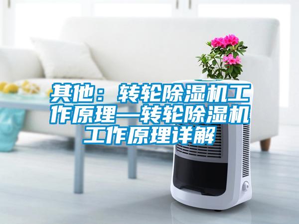 其他：转轮草莓视频APP在线观看工作原理—转轮草莓视频APP在线观看工作原理详解