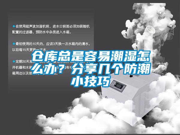 仓库总是容易潮湿怎么办？分享几个防潮小技巧