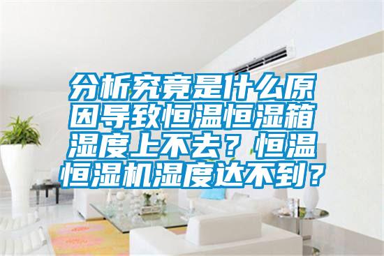 分析究竟是什么原因导致恒温恒湿箱湿度上不去？恒温恒湿机湿度达不到？
