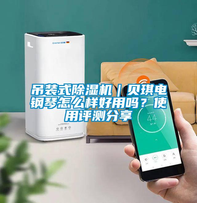 吊装式草莓视频APP在线观看｜贝琪电钢琴怎么样好用吗？使用评测分享