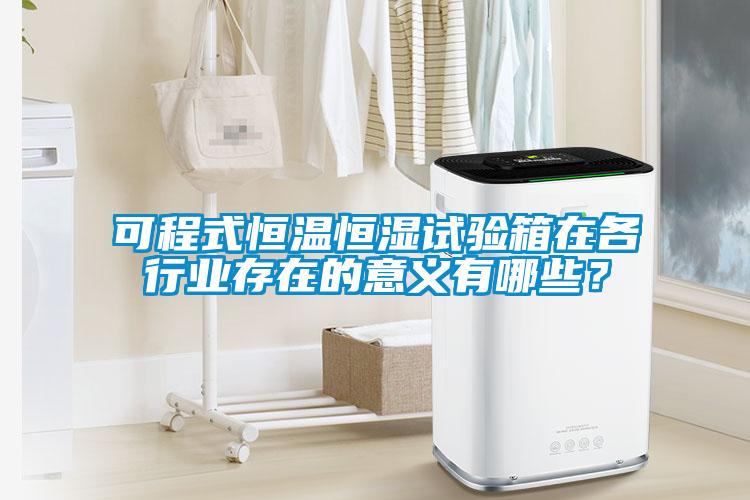 可程式恒温恒湿试验箱在各行业存在的意义有哪些？